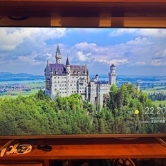 テレビ　50インチ