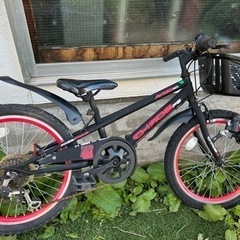 【決まりました】トイザらス 自転車