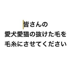 ［郵送取引］糸紡ぎの練習をしたいのでペットの毛をください