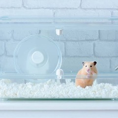 ハムスター用品一式