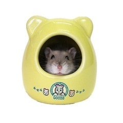 ハムスター用品一式の画像