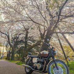 ツーリングとかキャンプしたいです！ − 東京都