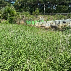 草刈り  畑作りすぐ対応出来ます！