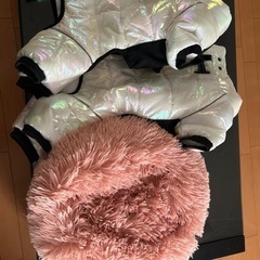 ペット洋服の画像