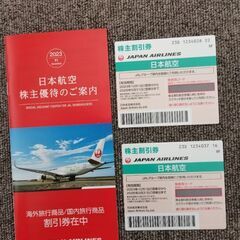 JAL 株主優待制券 2枚