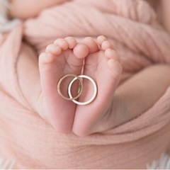 生活雑貨 家庭用品 ガーデニングの画像