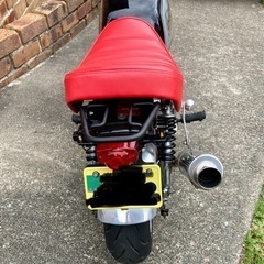 モンキーの画像