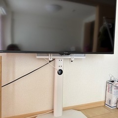 家電 テレビ 液晶テレビ