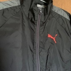 【最終お値下げ⭐︎今週2,000円】【PUMA製】「PUMAナイロン製上下セットL size」の画像