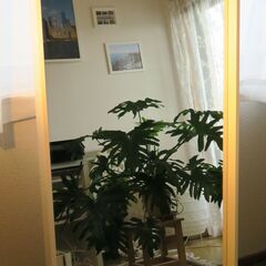 IKEA　NISSEDAL　ミラー　ホワイト