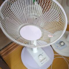 家電 季節、空調家電 扇風機