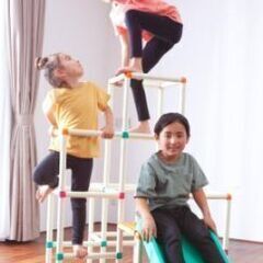 ジャングルジム　2〜6歳向け（お取り引き中）