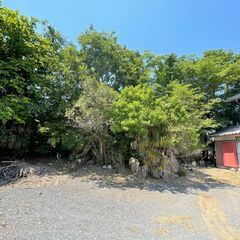 土地150坪　建物40坪　7ＬＤＫ