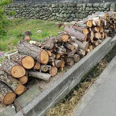 薪、丸太の画像