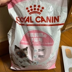 ロイヤルカナン 成長前期の子猫用 2.7kg