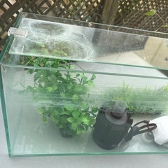 オールガラス水槽セットの画像