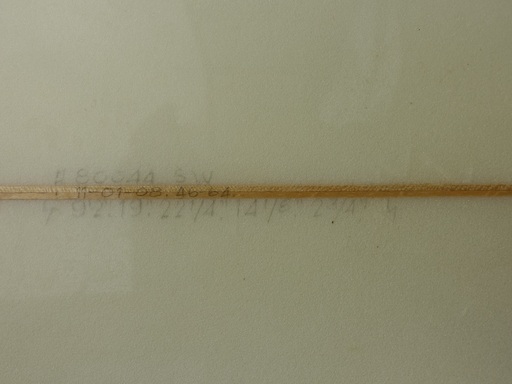 WALDEN ロングボード 長さ9'2(279.4cm)　幅22 1/4(56.52cm)　厚さ2 3/4(6.99cm) 中古