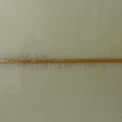 WALDEN ロングボード 長さ9'2(279.4cm)　幅22 1/4(56.52cm)　厚さ2 3/4(6.99cm) 中古の画像