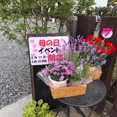 母の日イベント開催