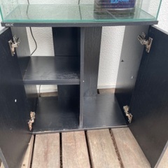 60センチガラス水槽セットの画像