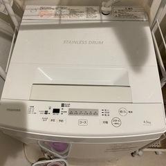 家電 生活家電 洗濯機