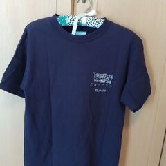 メキシコ/カンクン　MEXICO製　Tシャツ　レディース　Mサイズの画像