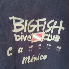メキシコ/カンクン　MEXICO製　Tシャツ　レディース　Mサイズの画像