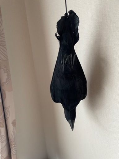 烏よけ　カラスよけ　害鳥　畑　ゴミ置き場