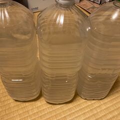 【メダカ稚魚に！！】ゾウリムシ　2L（＋αでミジンコやPSB）