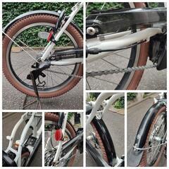 カラーコーデ YAMAHA PAS CITY-C 20インチの画像