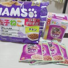 子ねこ用　キャットフード