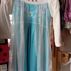 アナと雪の女王、エルサドレスの画像