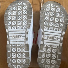 PUMAサンダル　24cmの画像