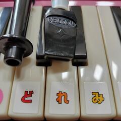 メロディオン    ピンク
MELODION
鍵盤ハーモニカの画像