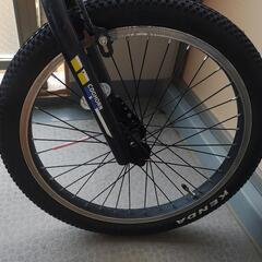 子供用　自転車　20インチ　マイアミ　コグホーンの画像