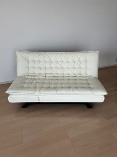 【交渉中】ソファベッド(Nシールド)
