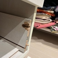 ガラス張り　家具 収納家具 の画像