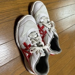 体育館シューズ　赤　23.5センチの画像