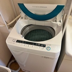 家電 生活家電 洗濯機