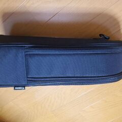 Canon RF800mm レンズの画像