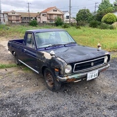 サニートラック　ロング　の画像