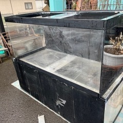 アクリル水槽、水槽の画像