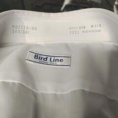 ワイシャツ メンズ　中学生　165 の画像