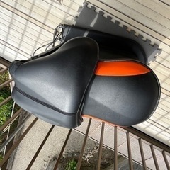 スポーツ フィットネス、トレーニングの画像