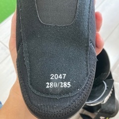 スポーツ スキーの画像