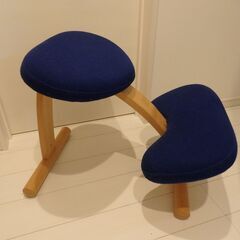 商談中】バランスイージー 姿勢矯正椅子（子供から大人まで）