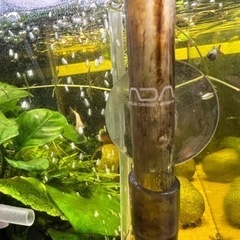 60センチ水槽セットの画像