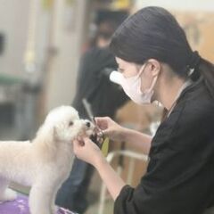 トリマーさん募集！！福山愛犬美容師会