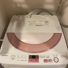 家電 生活家電 洗濯機