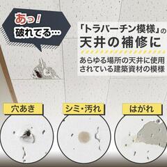 DIY 業者使用 天井・壁シート 補修シール 新品　10枚の画像